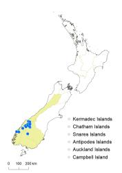 Veronica planopetiolata distribution map based on databased records at AK, CHR & WELT.
 Image: K.Boardman © Landcare Research 2022 CC-BY 4.0